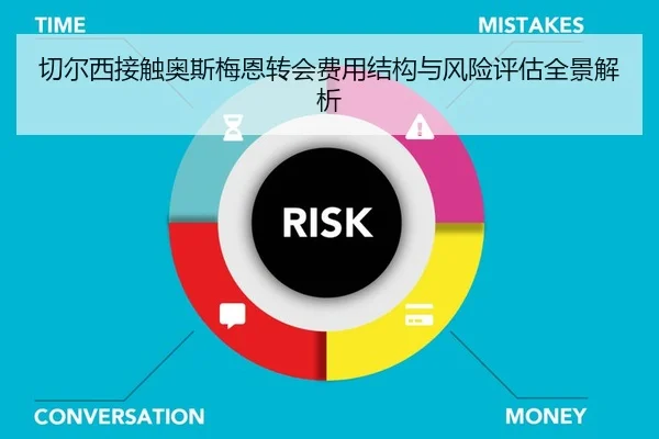 切尔西接触奥斯梅恩转会费用结构与风险评估全景解析